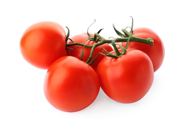 Branch of ripe red tomatoes on white background