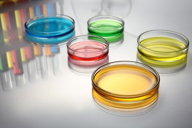 Photo of Petri dishes with different colorful samples on white table