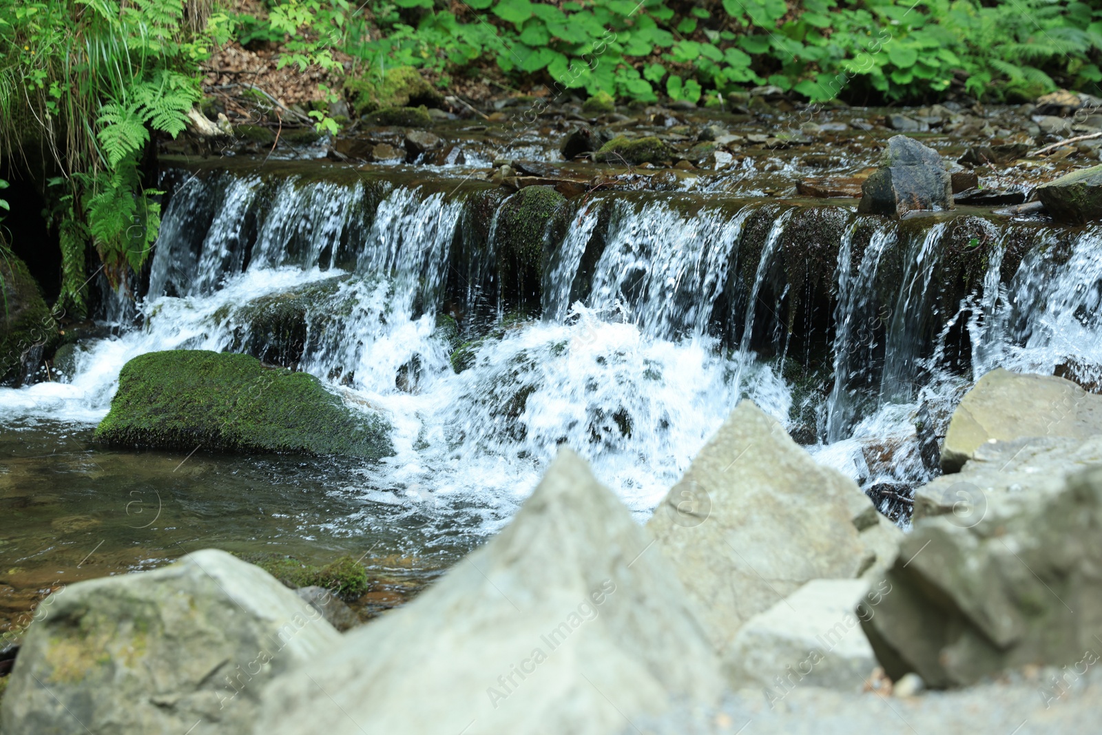 Photo of Picturesque view of river flowing near rocks in forest