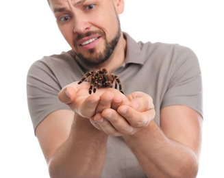 Photo of Scared man holding tarantula on white background. Arachnophobia (fearspiders)