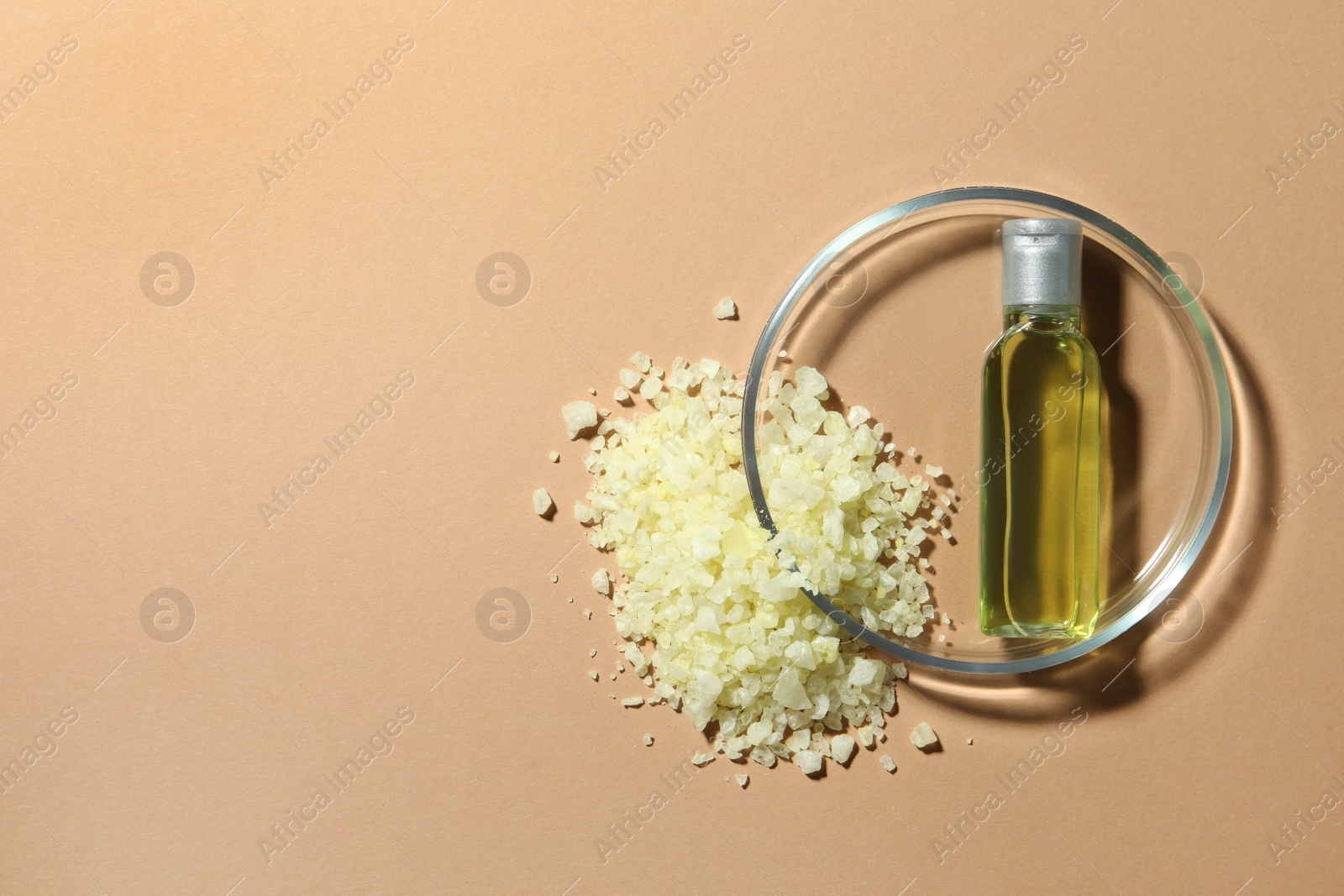 Photo of Petri dish with bottle and ingredient on beige background, flat lay. Space for text