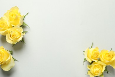 Beautiful yellow roses on light grey background, flat lay. Space for text