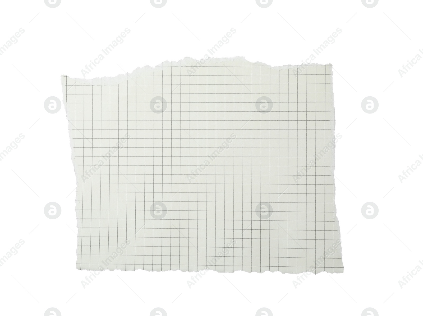 Photo of Piece of blank notebook paper isolated on white. Space for design