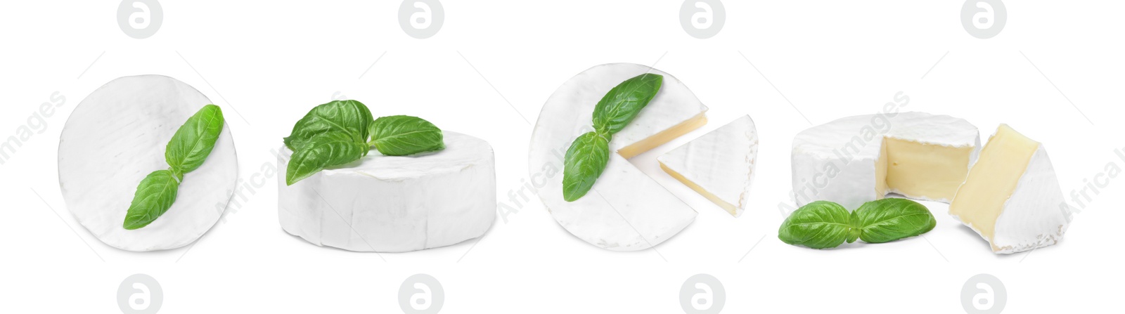 Image of Set with tasty brie cheese and basil on white background. Banner design