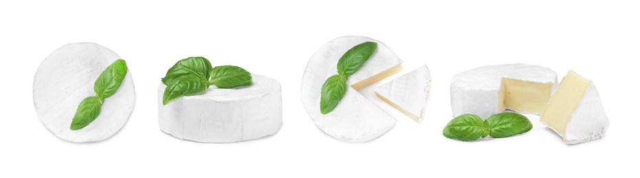 Image of Set with tasty brie cheese and basil on white background. Banner design