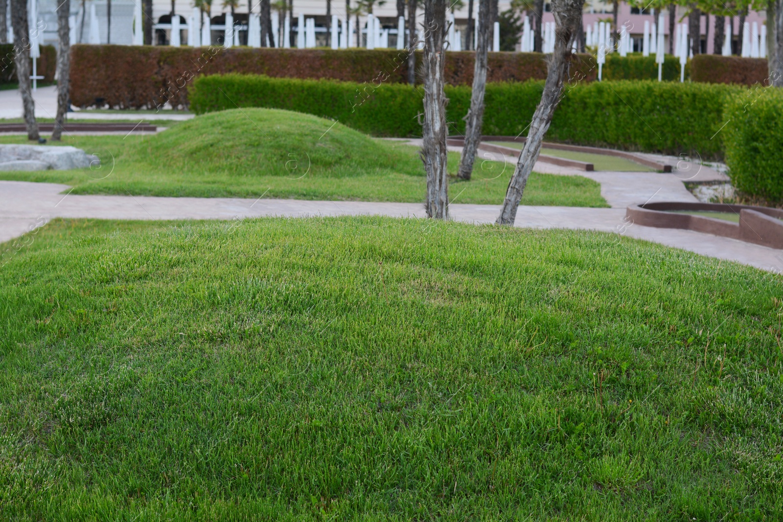 Photo of Beautiful park with green lawn, plants and walkways