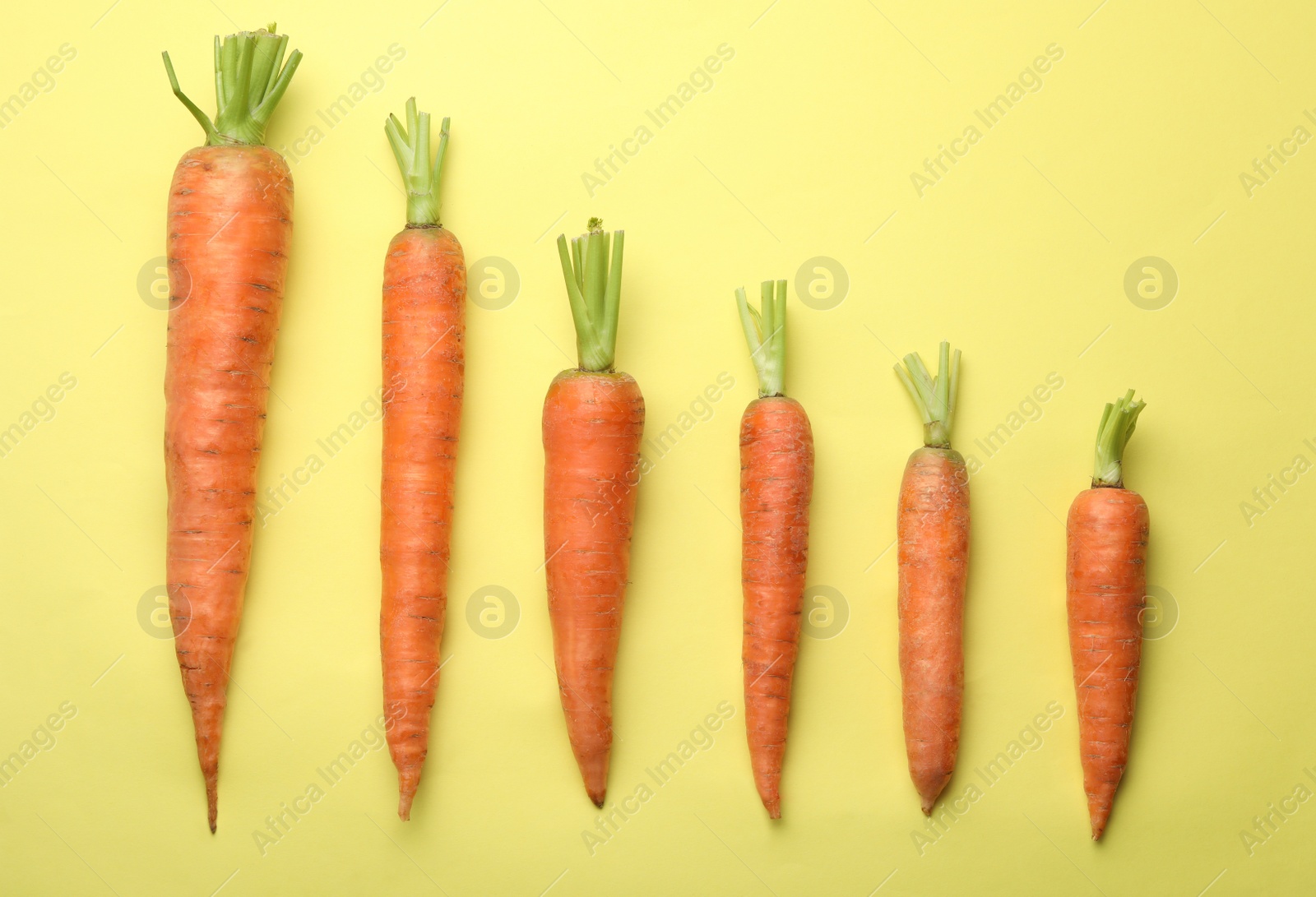 Photo of Flat lay composition fresh carrots color background