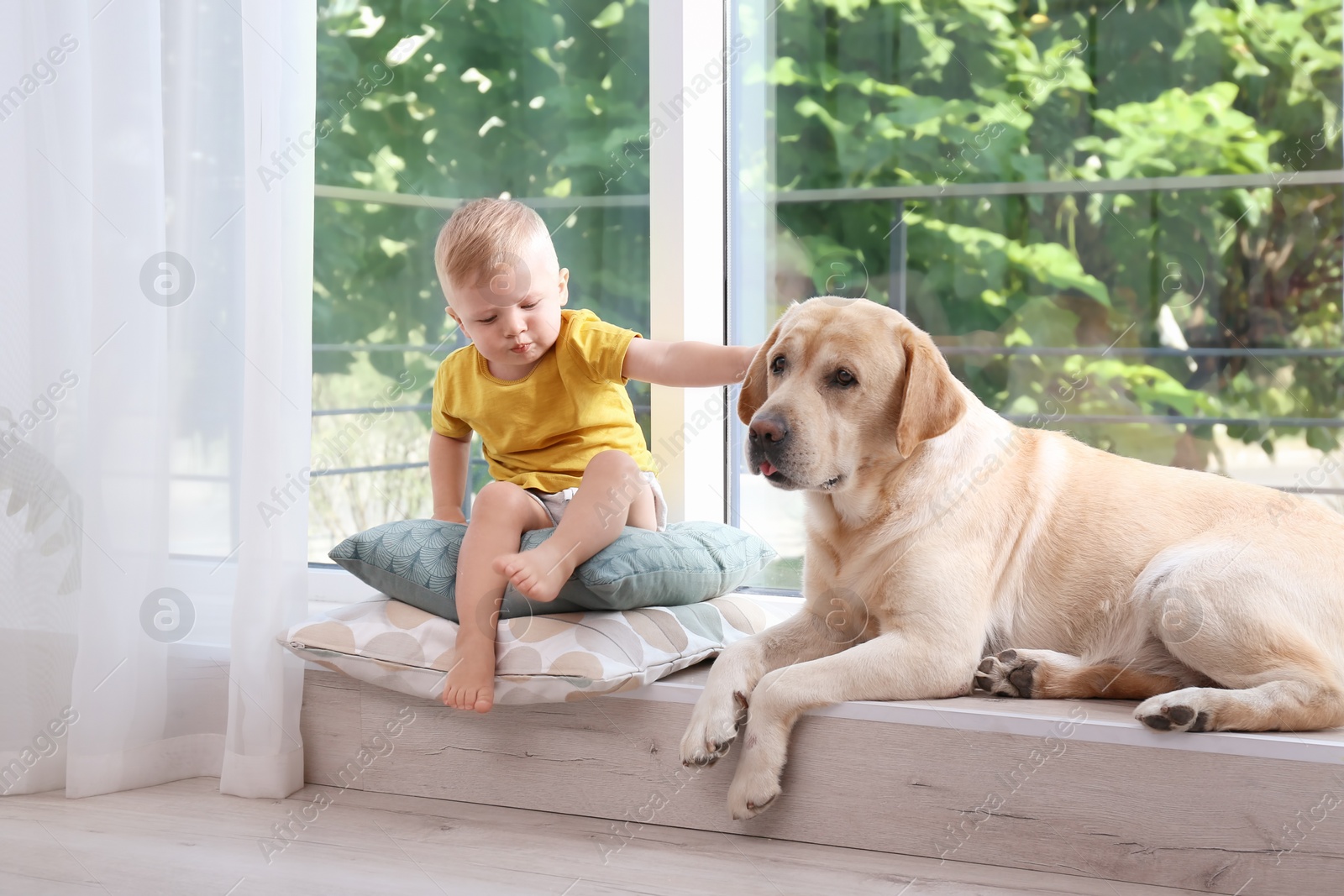 Photo of Adorable yellow labrador retriever and little boy near window at home