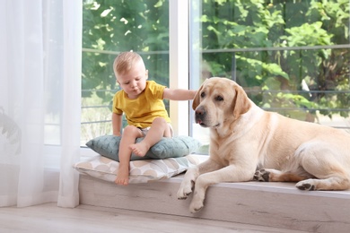 Photo of Adorable yellow labrador retriever and little boy near window at home