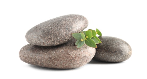 Spa stones with green branch isolated on white