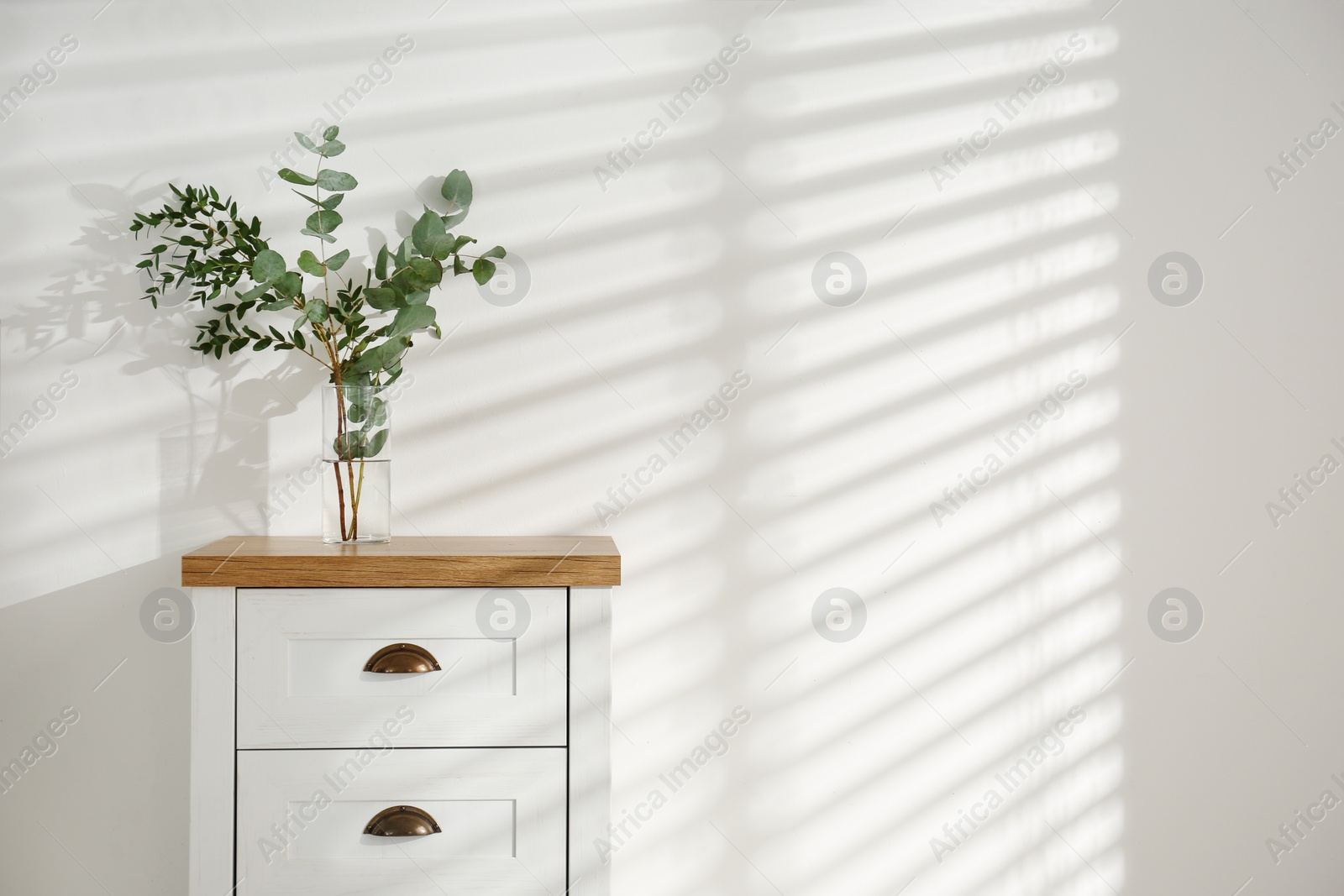 Photo of Modern chest of drawers with green branches near white wall, space for text