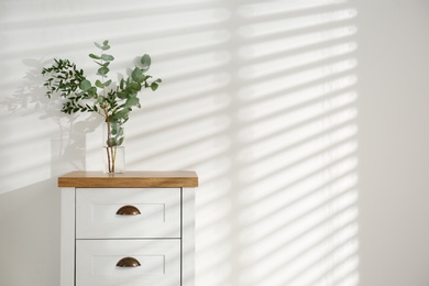 Modern chest of drawers with green branches near white wall, space for text