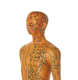 Photo of Acupuncture model. Mannequin with dots and lines isolated on white
