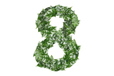 Image of Number 8 made of fresh green leaves on white background