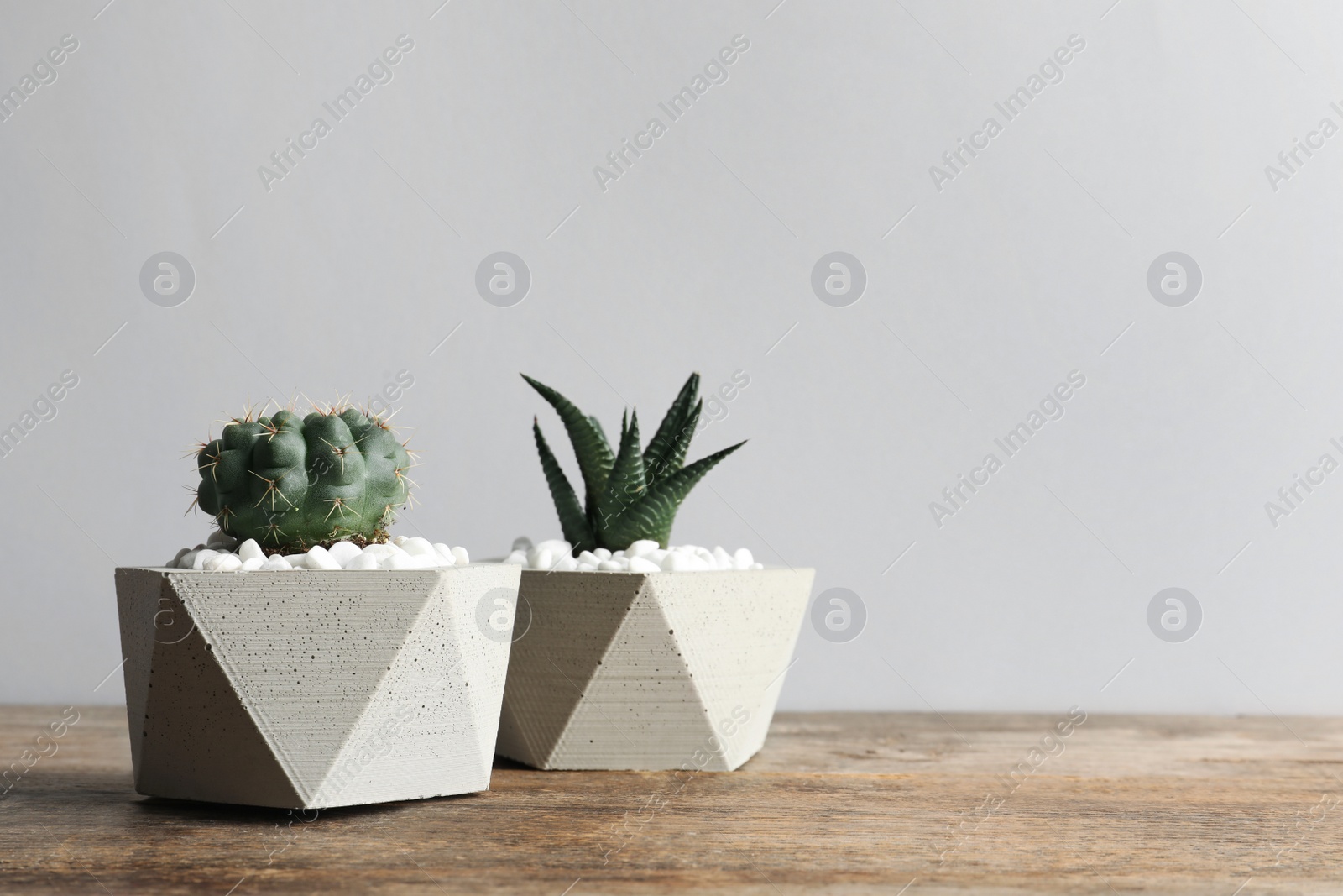 Photo of Beautiful succulent plants in stylish flowerpots on table against light background, space for text. Home decor