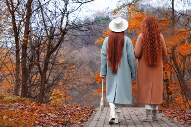 Photo of Redhead sisters walking together in park on autumn day, back view. Space for text
