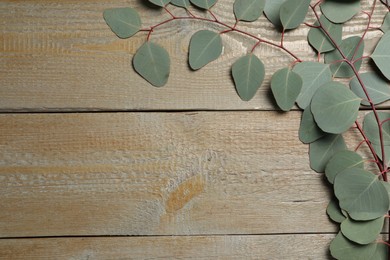 Photo of Eucalyptus branch with fresh green leaves on wooden table, top view. Space for text
