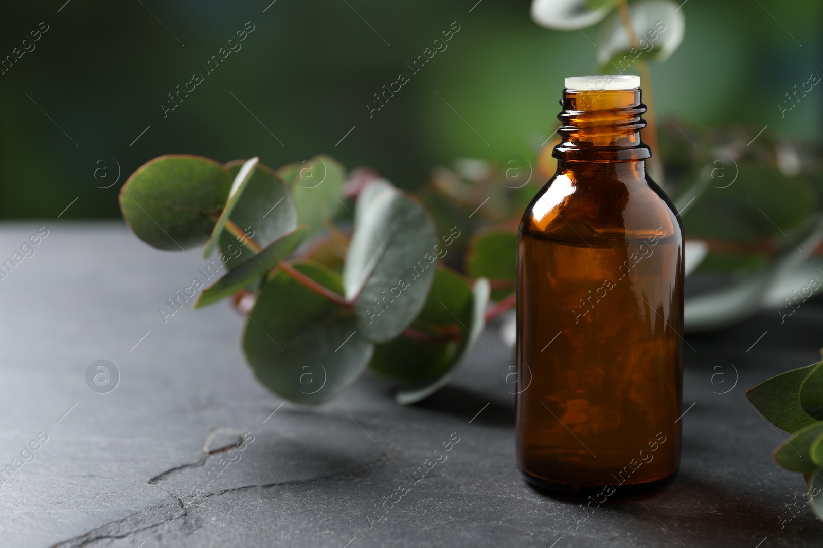 Photo of Bottle of eucalyptus essential oil and plant branches on grey table, space for text