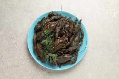 Photo of Fresh raw crayfishes on light grey table, top view