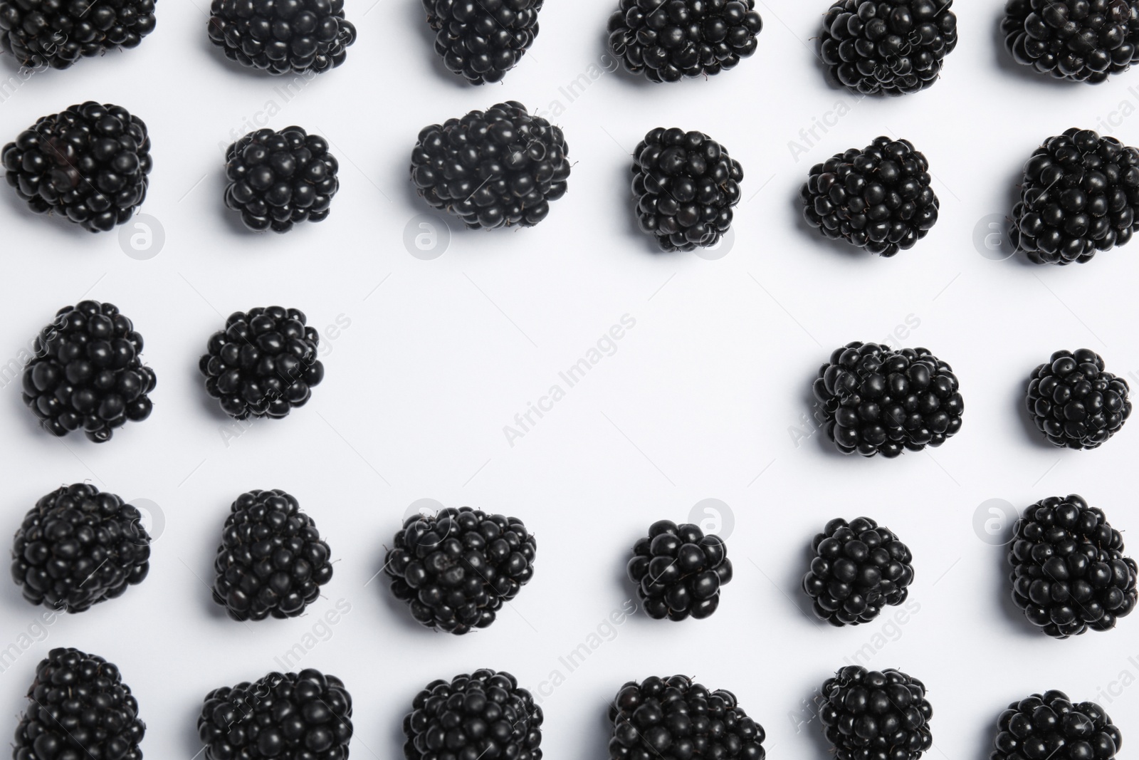 Photo of Flat lay composition with ripe blackberries on white background