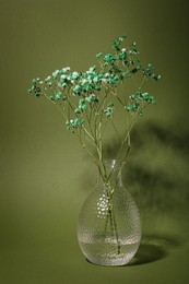 Beautiful gypsophila flowers in vase on green background