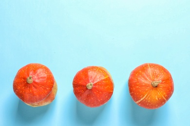 Orange pumpkins on color background, flat lay composition with space for text. Autumn holidays