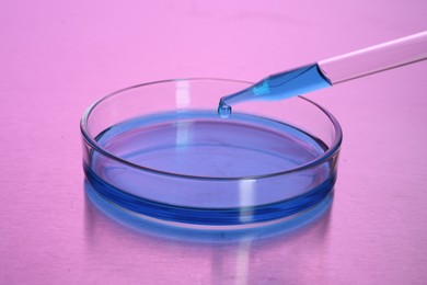 Photo of Dripping blue liquid into Petri dish with sample on table, toned in pink