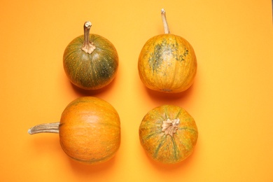 Fresh ripe pumpkins on orange background, flat lay. Holiday decoration