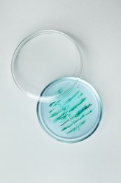 Petri dish with bacteria colony on white background, top view