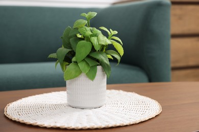 Photo of Green artificial plant in pot on wooden table indoors