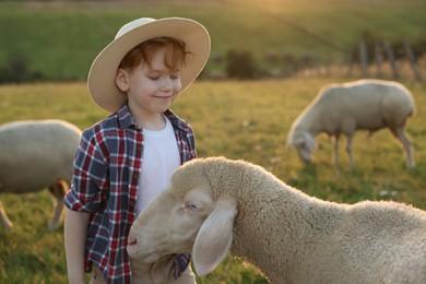 Photo of Boy with sheep on pasture. Farm animals