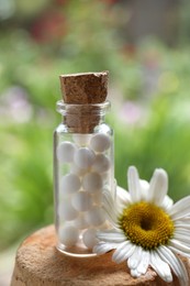 Photo of Bottle of homeopathic remedy and beautiful chamomile flower on blurred background