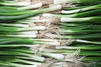 Fresh green onion as background