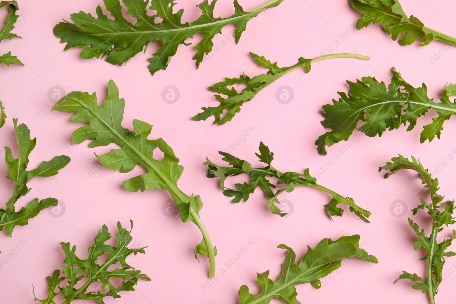 Photo of Fresh arugula on light pink background, flat lay