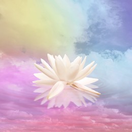 Image of Floating beautiful lotus and reflection of sky with fluffy clouds on water, toned in pastel rainbow colors. Symbolic flower in Buddhism