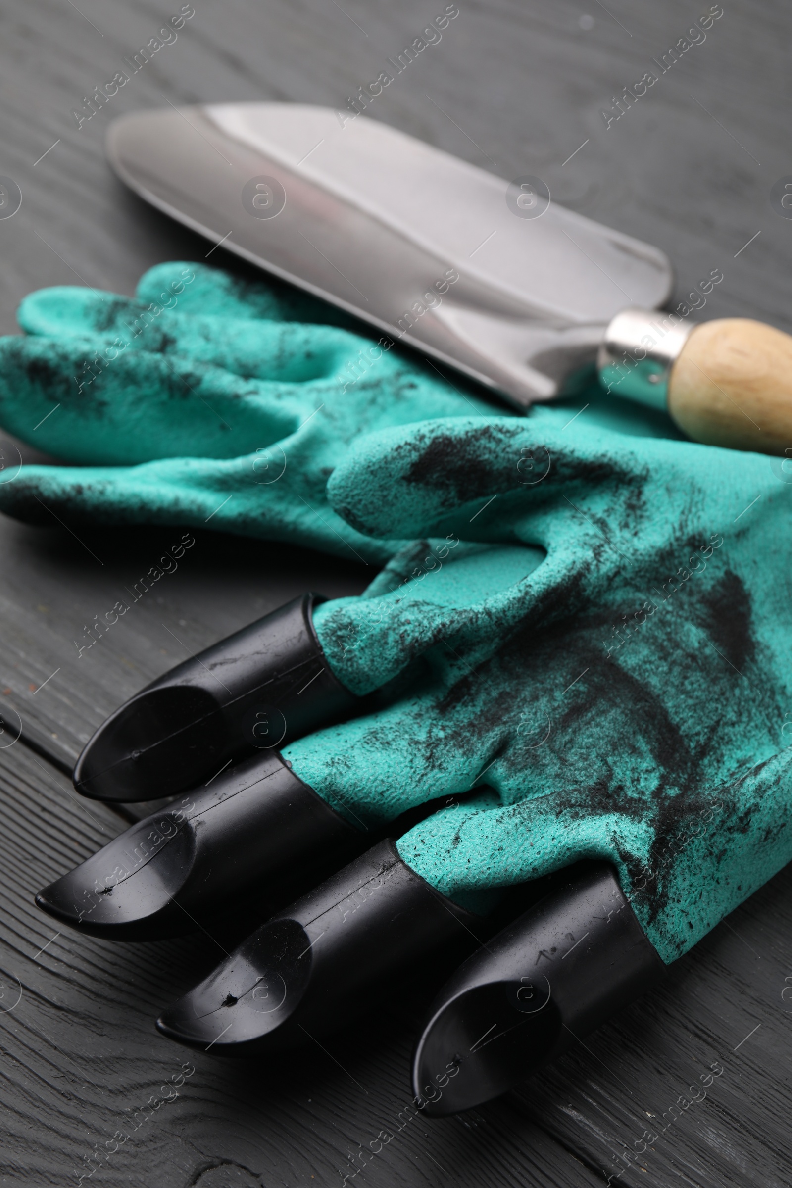 Photo of Pair of claw gardening gloves and trowel on grey wooden table, closeup