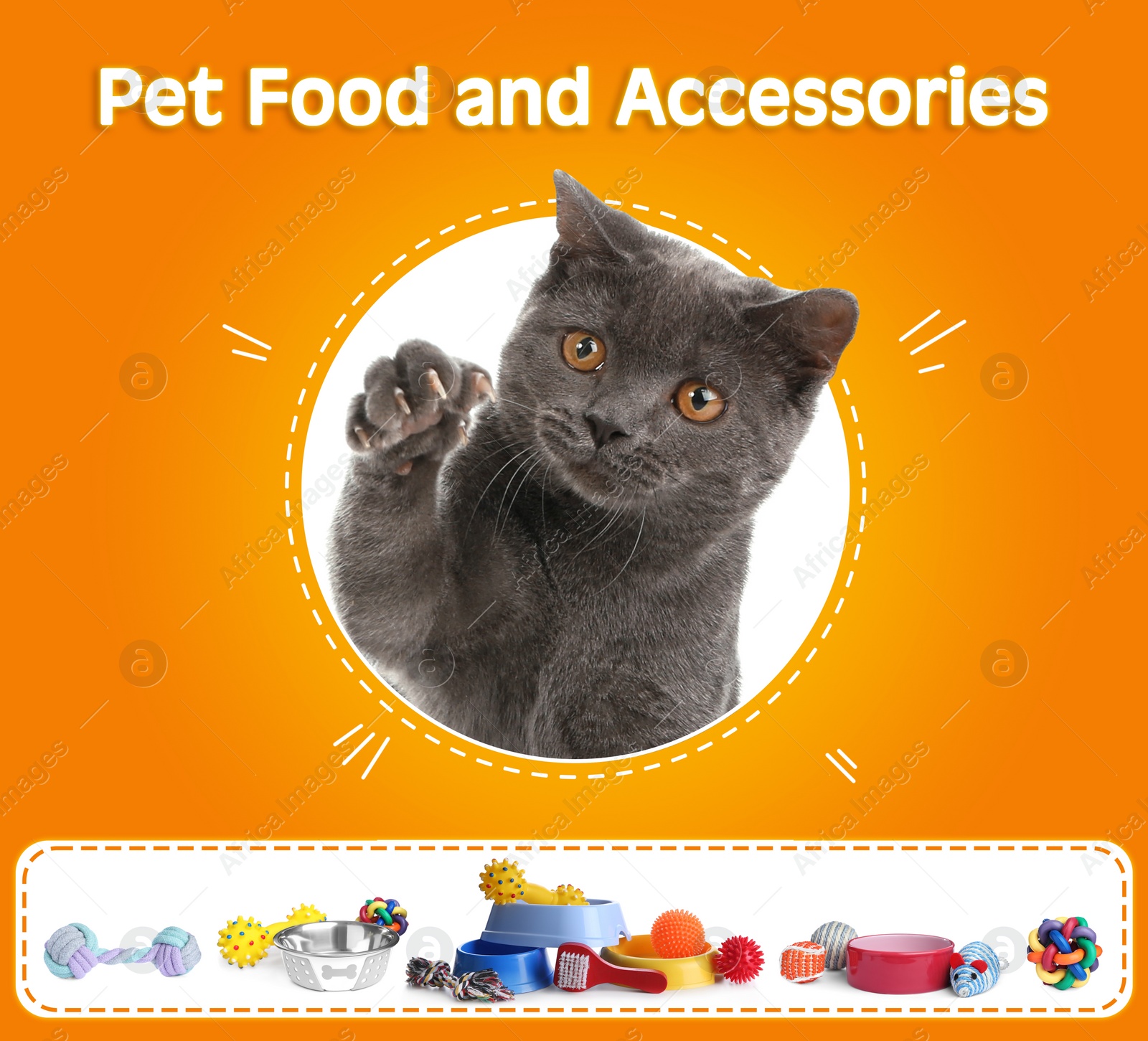 Image of Advertising poster design for pet shop. Cute cat and different accessories on orange background