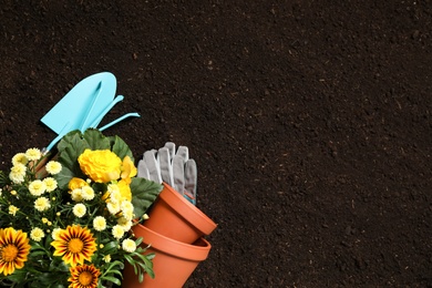 Photo of Flat lay composition with gardening equipment and flowers on soil, space for text