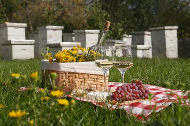 Photo of Glasses of white wine and snacks for picnic served on blanket near apiary