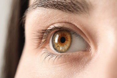 Photo of Macro photo of woman with beautiful eyes