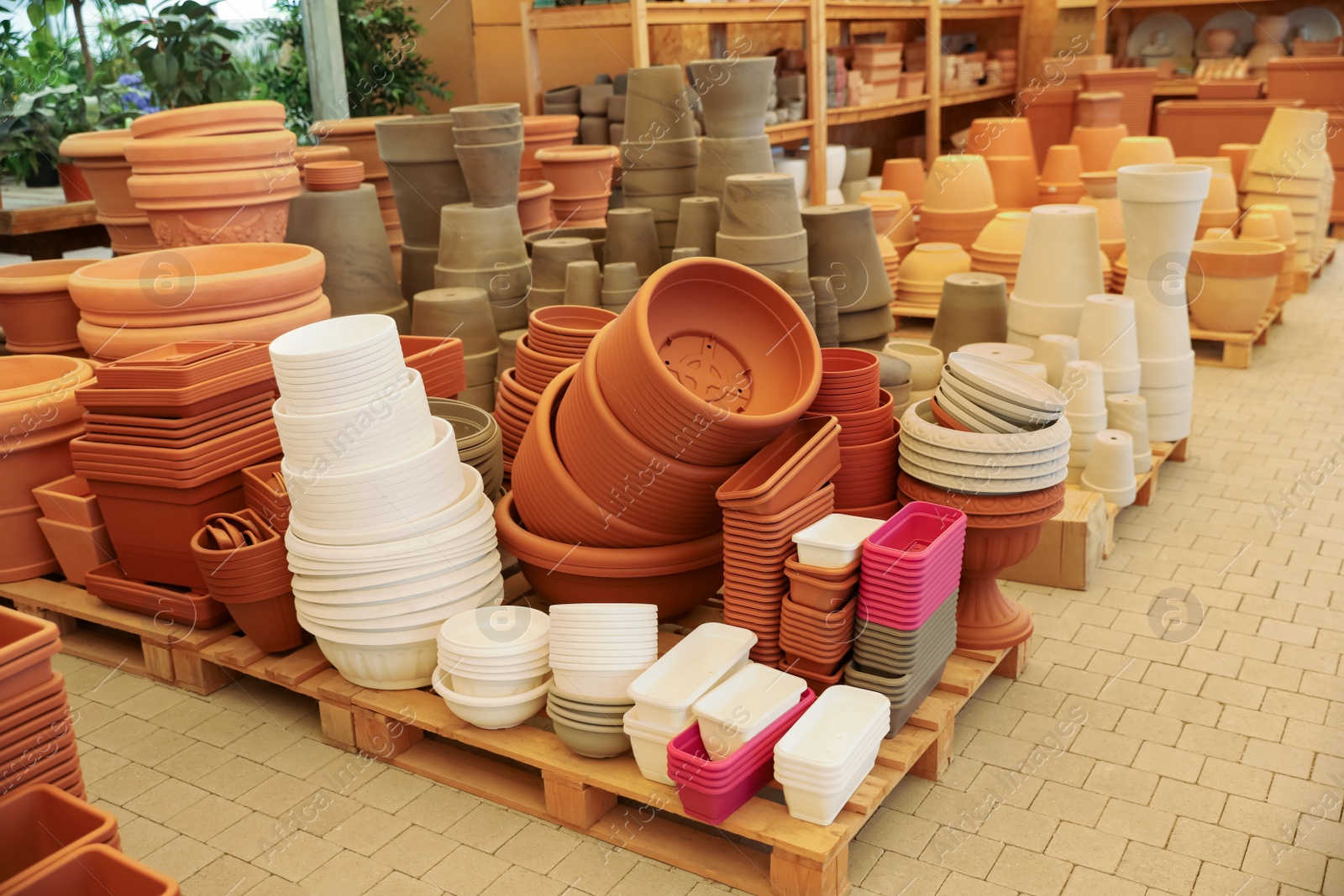 Photo of Many different flower pots in gardening shop