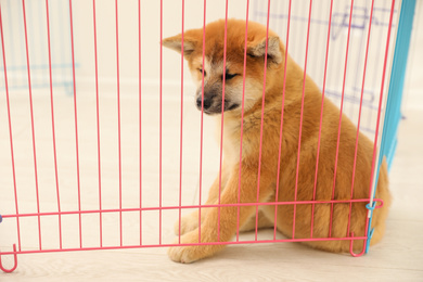 Photo of Cute Akita Inu puppy in playpen indoors. Baby animal