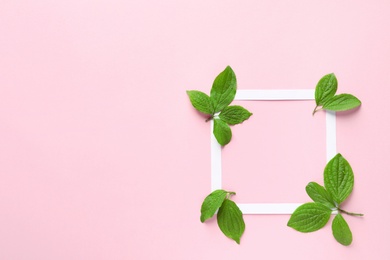 Photo of Flat lay composition with green leaves on color background. Space for text