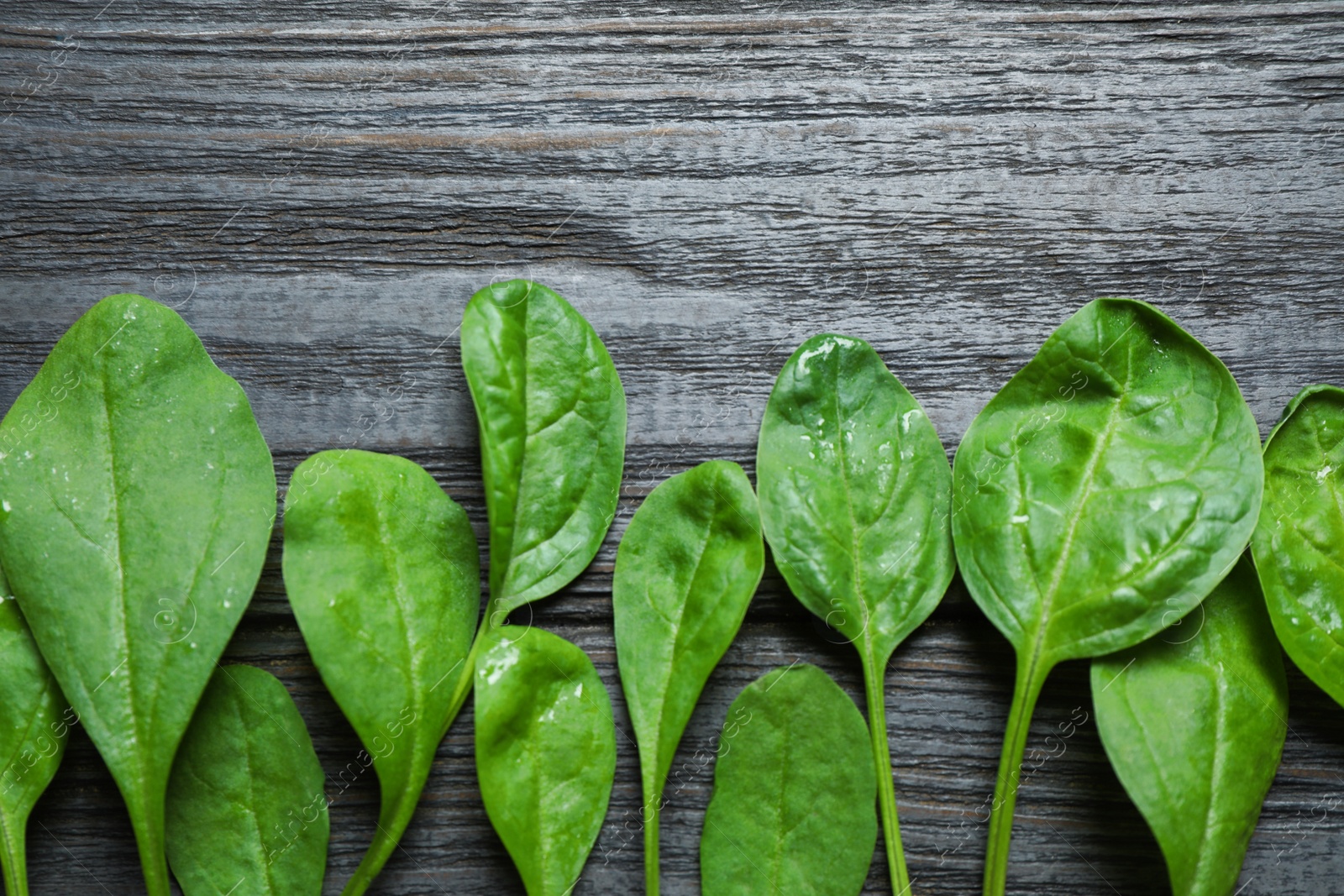 Photo of Fresh green healthy spinach on dark wooden table, flat lay