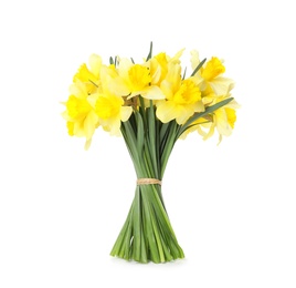 Bouquet of daffodils on white background. Fresh spring flowers