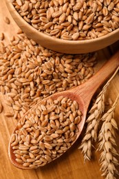 Wheat grains with spikelets on wooden table, flat lay