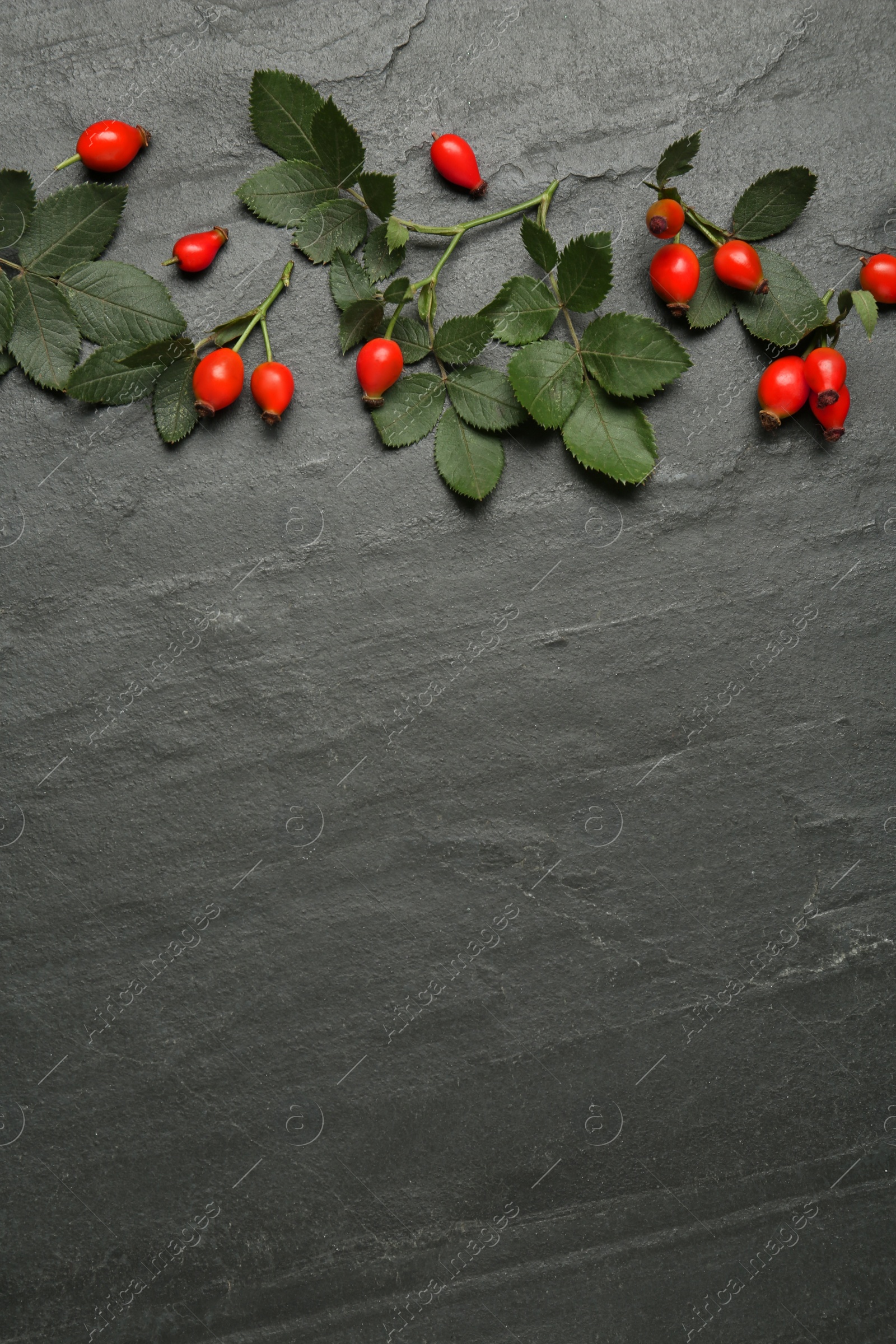 Photo of Ripe rose hip berries with green leaves on black table, flat lay. Space for text