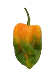 Photo of Fresh raw hot chili pepper isolated on white, top view