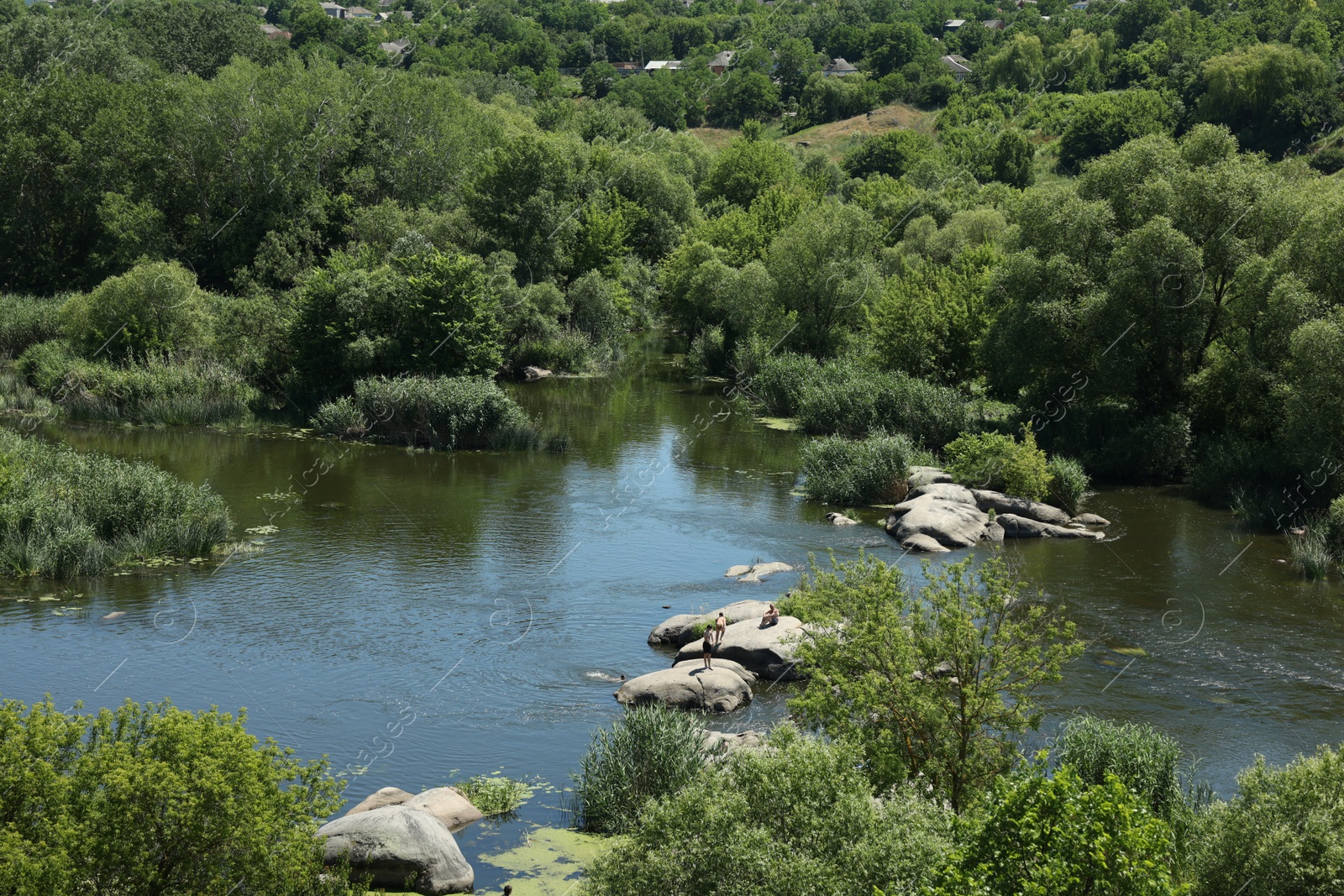 Photo of Beautiful landscape with river and forest on sunny day