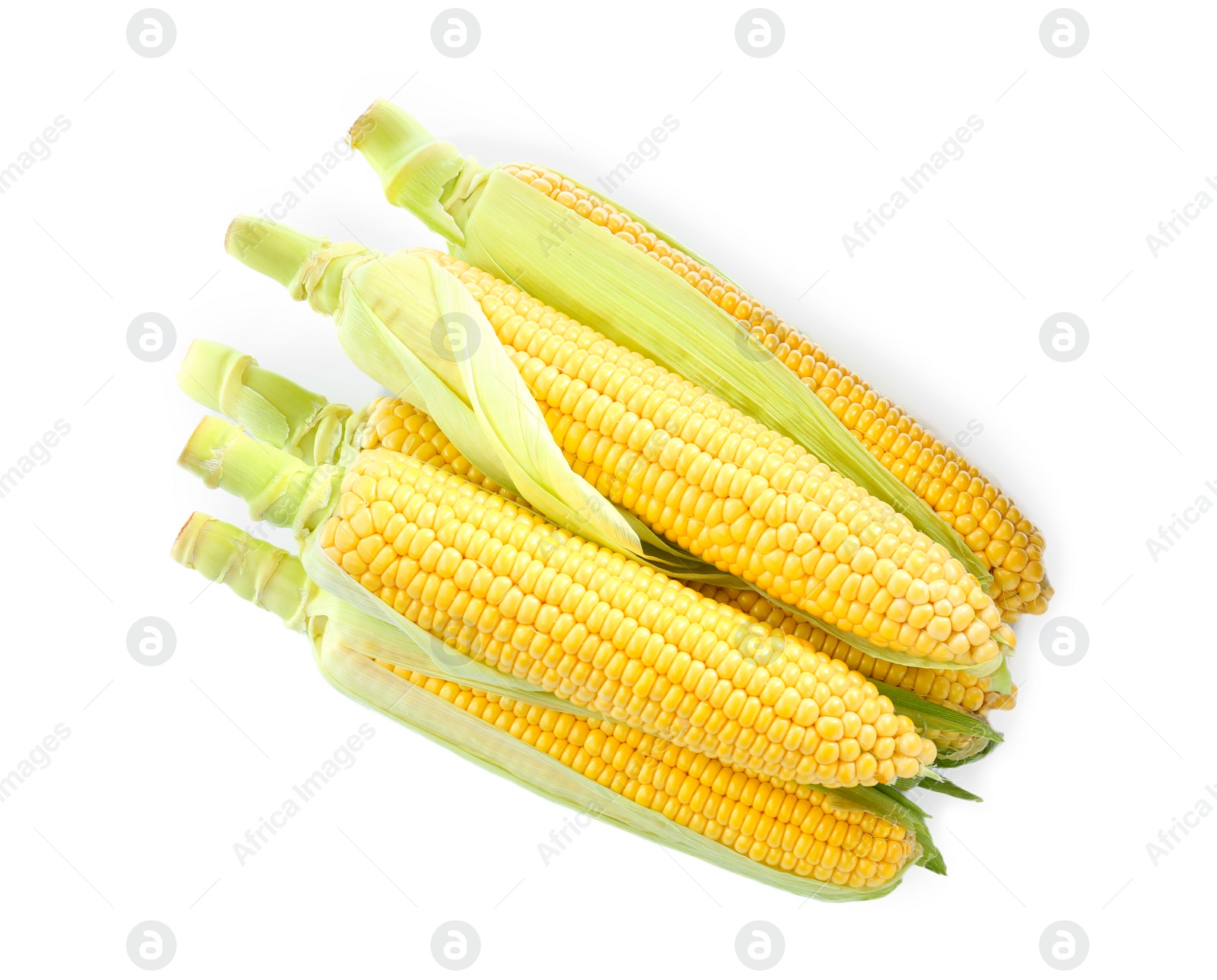 Photo of Tasty fresh corn cobs isolated on white, top view